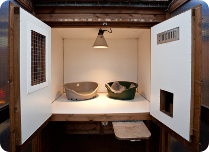 Luxury heated cattery chalet