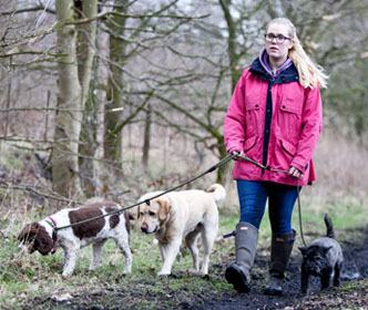 Dog walking in the countryside